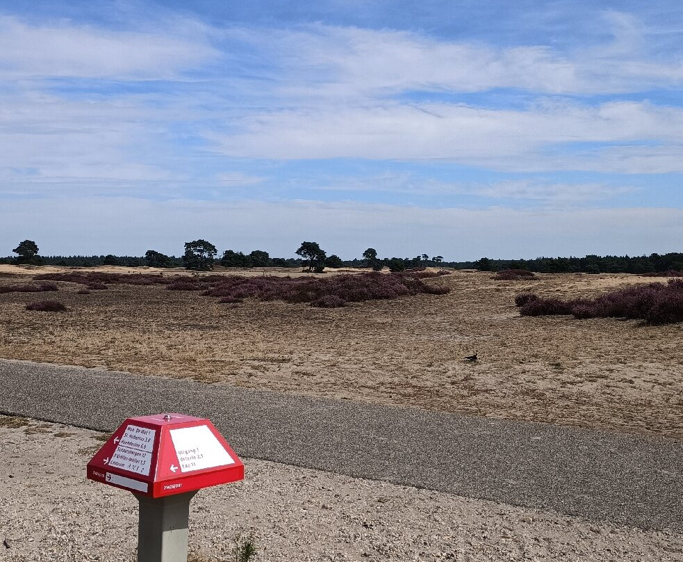 Nationale Park Hoge Veluwe-奥特洛必去景点