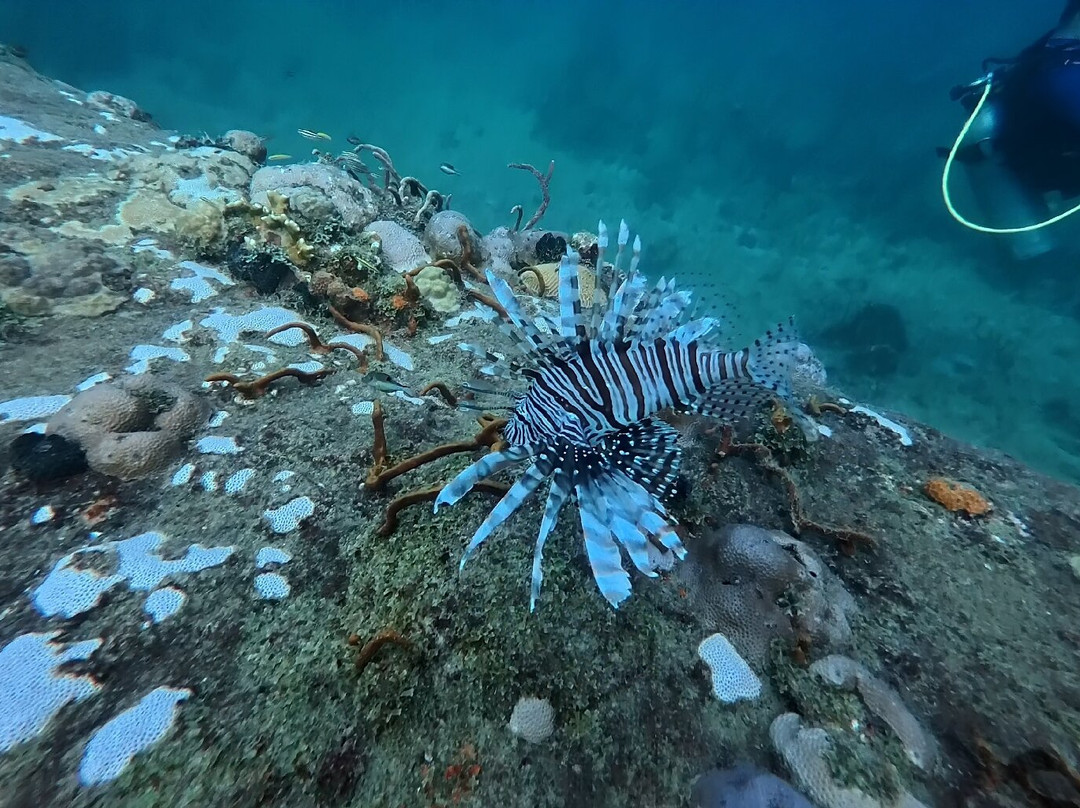 Nautilus Isla Fuerte-Isla Fuerte必去景点
