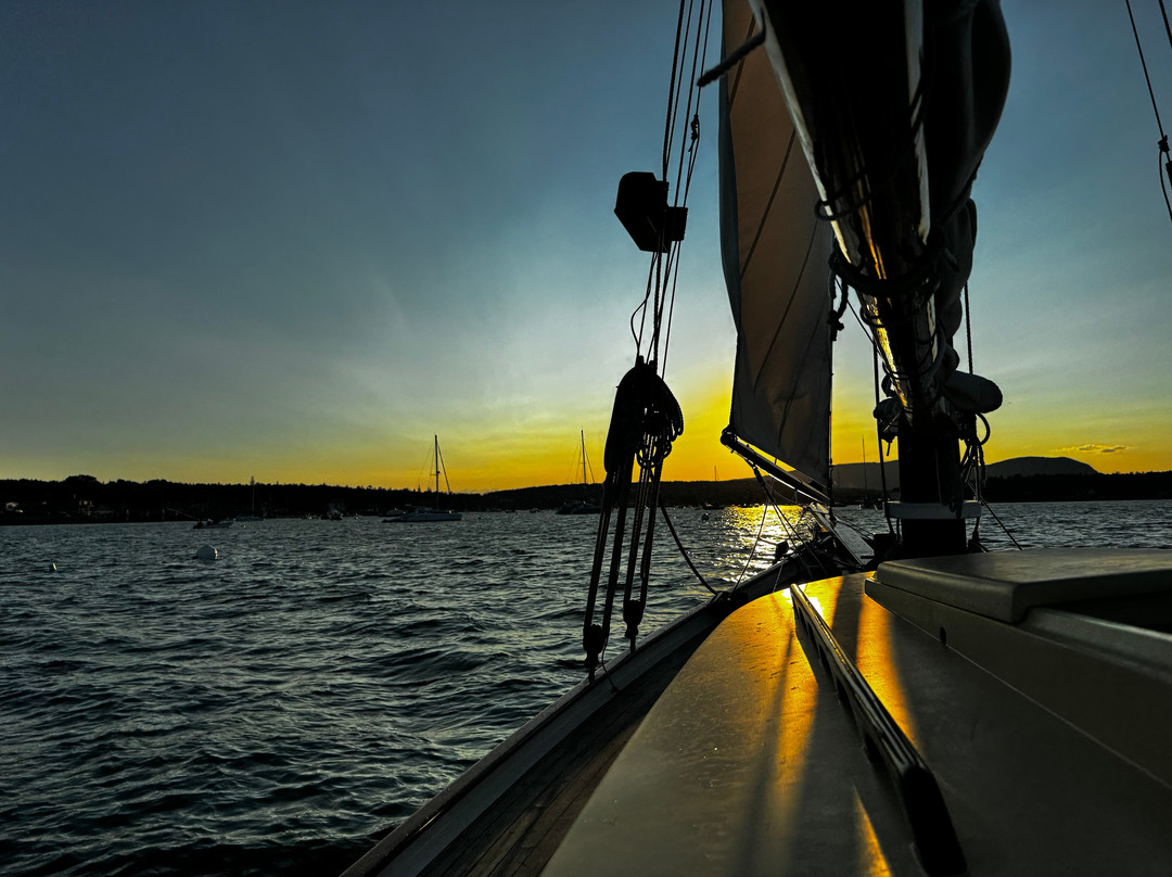 Sail Acadia-Southwest Harbor必去景点