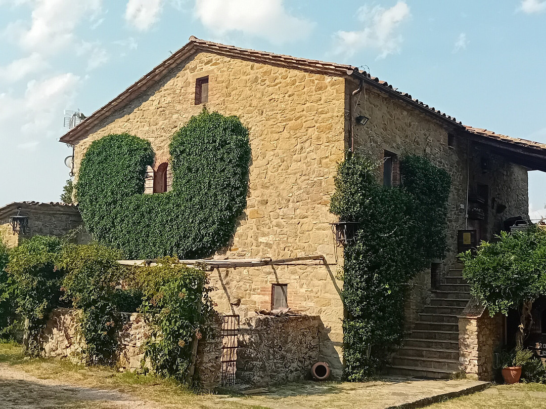 Agriturismo Torre Morgana主图