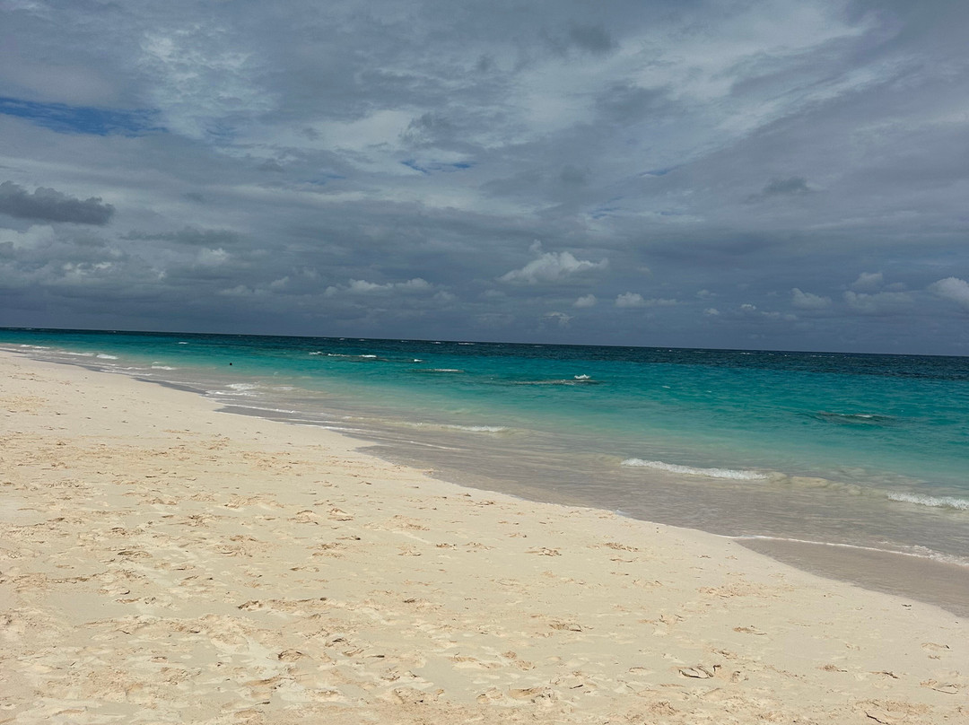Elbow Beach-佩吉特教区必去景点