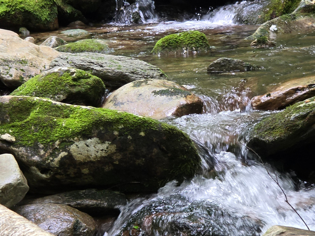 Great Smoky Mountains National Park-盖林柏格必去景点