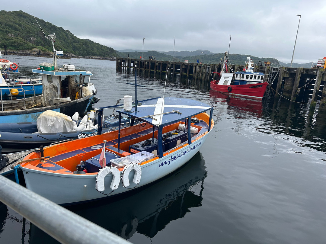 Gairloch Glass Bottom Boat Cruises-盖尔洛赫必去景点