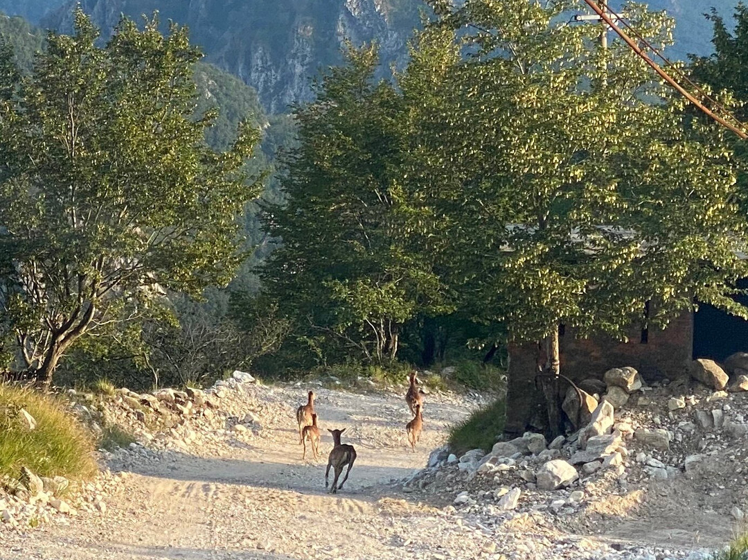 Cave Di Marmo Di Levigliani-Levigliani必去景点