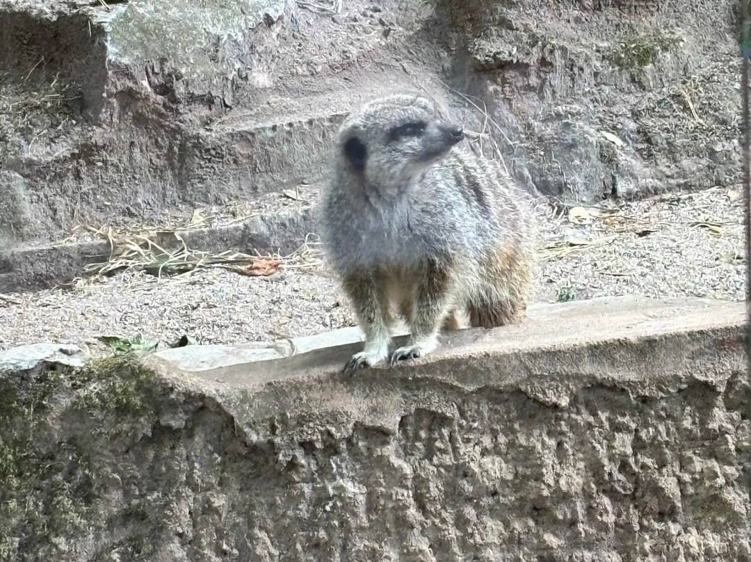 Shaldon Wildlife Trust-Shaldon必去景点