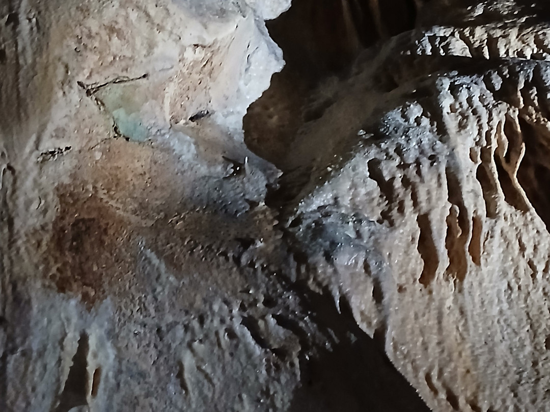 Grottes de Thouzon-Le Thor必去景点