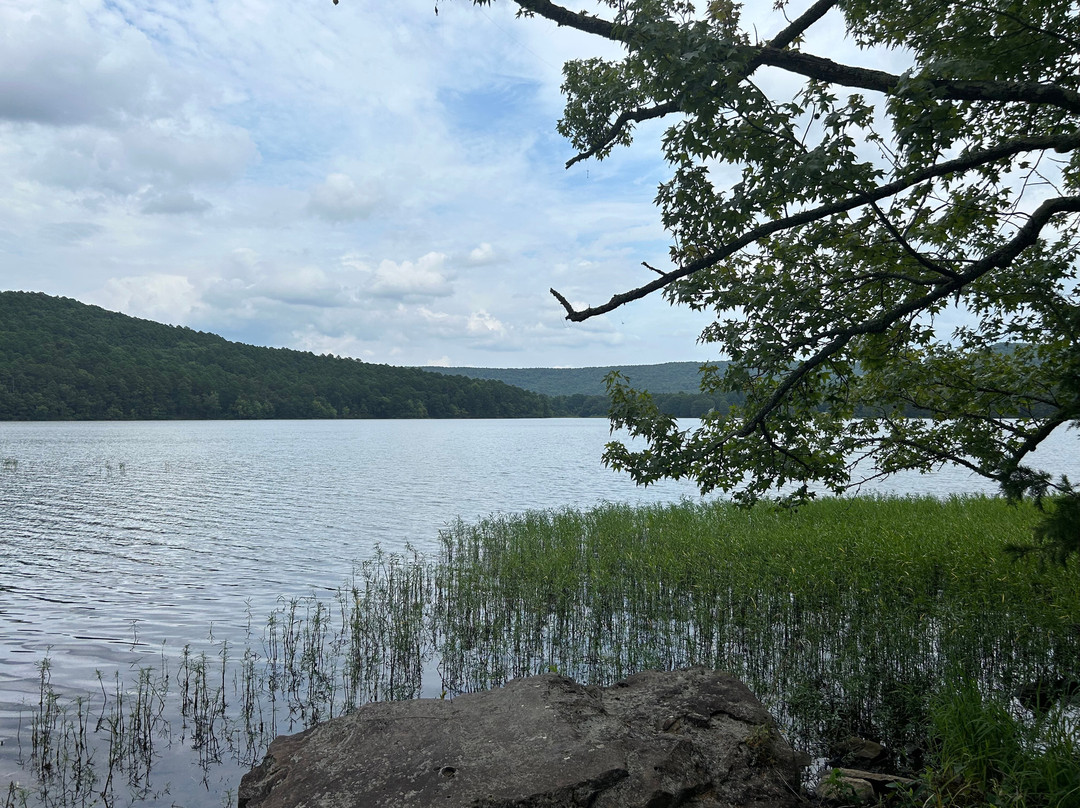 Cove Lake Recreation Area