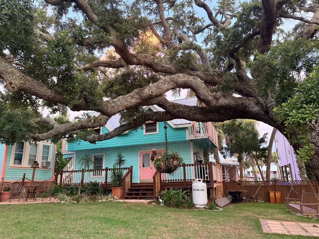 Cedar Key Bed and Breakfast主图