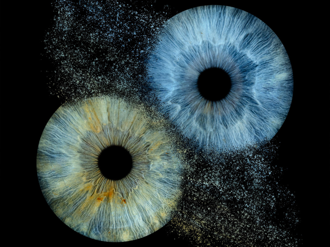 Iris Galerie Amsterdam Spiegelgracht-阿姆斯特丹必去景点