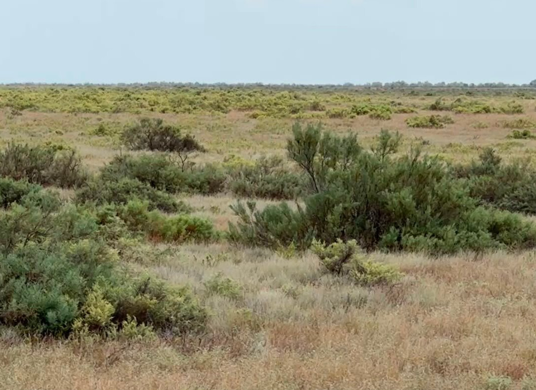 Shirvan National Park-Salyan必去景点