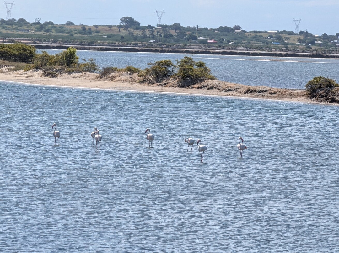 Safari In Kenya Con Samba-瓦塔木必去景点