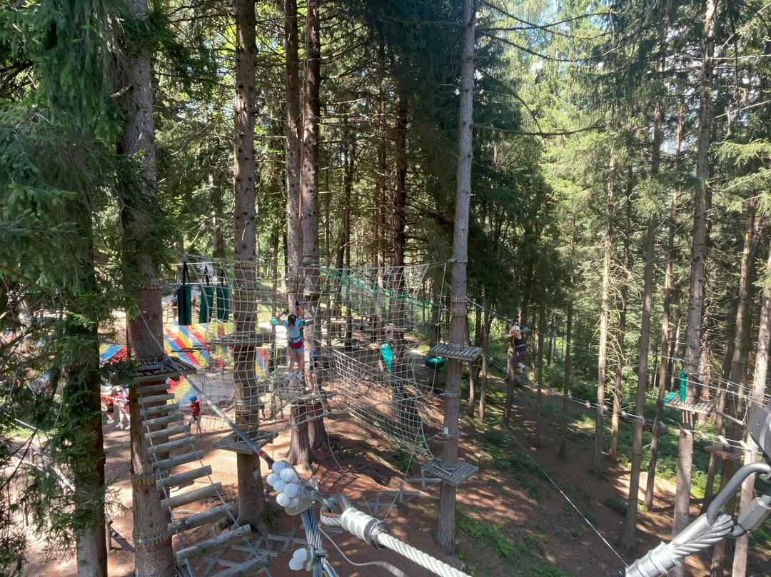 Parco Avventura - Adventure Dolomiti-Cinte Tesino必去景点