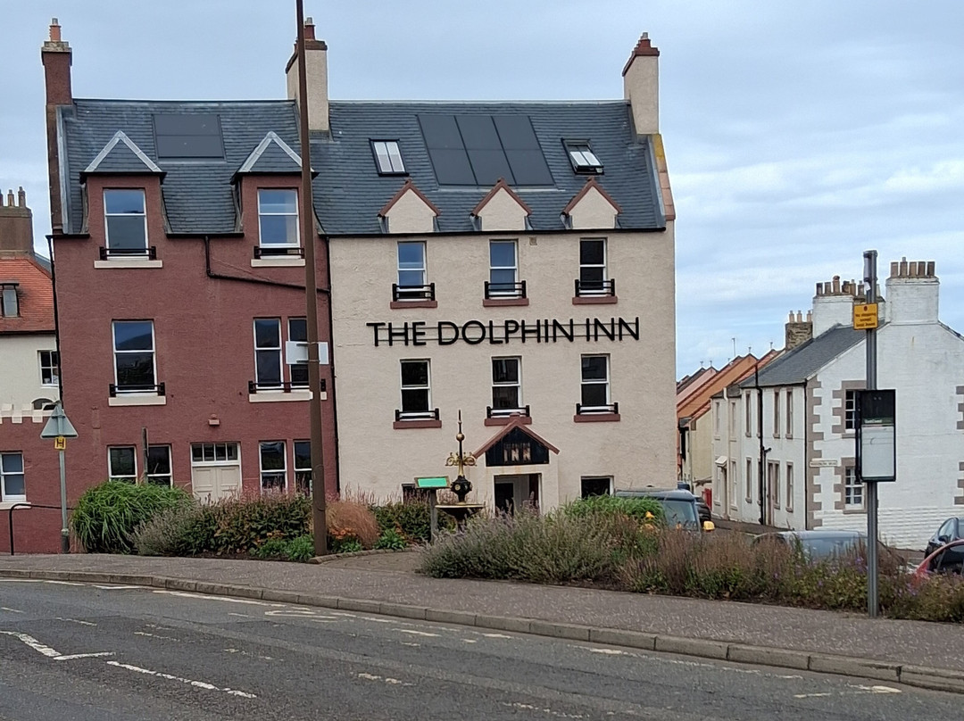 The Dolphin Inn Hostel主图