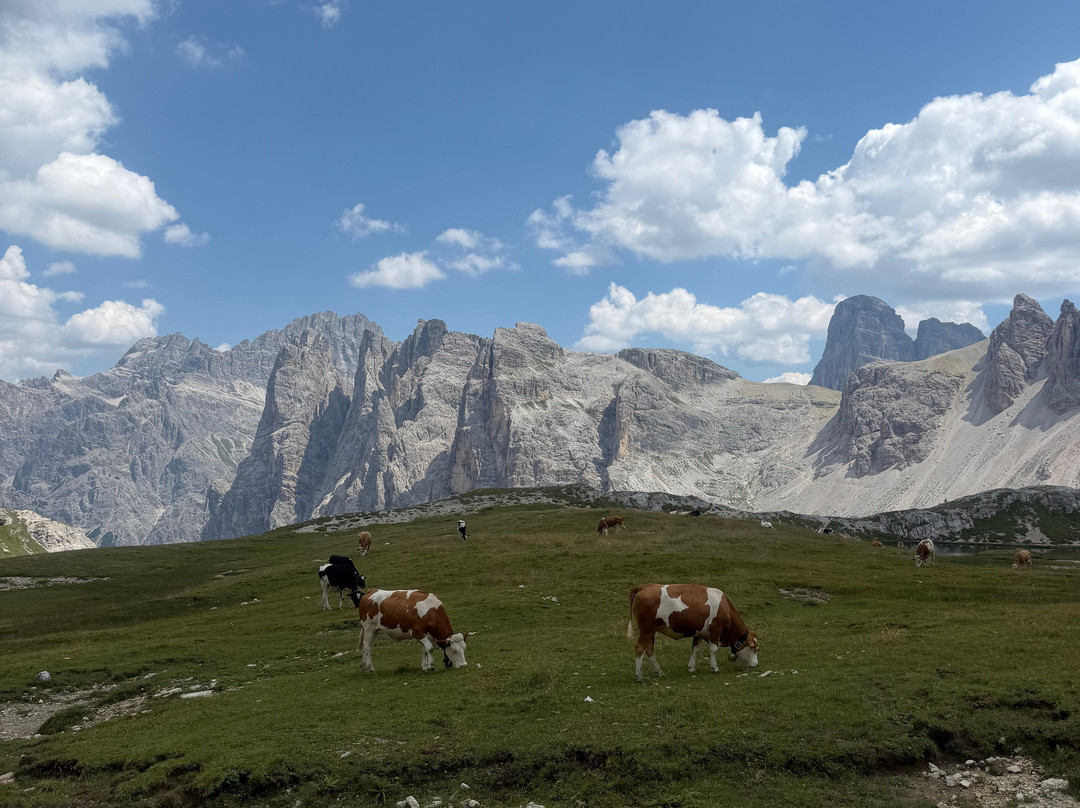 Anello dei Tre Rifugi dalla val Fiscalina-Sesto必去景点