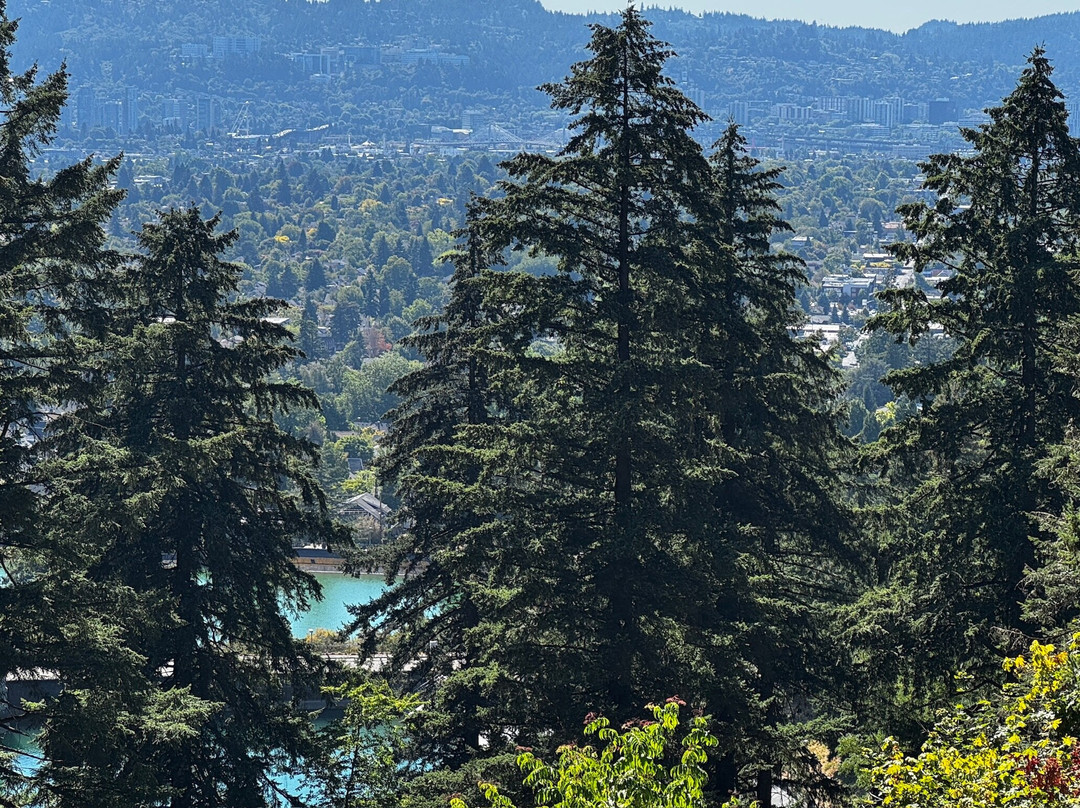 Mount Tabor Park-波特兰必去景点
