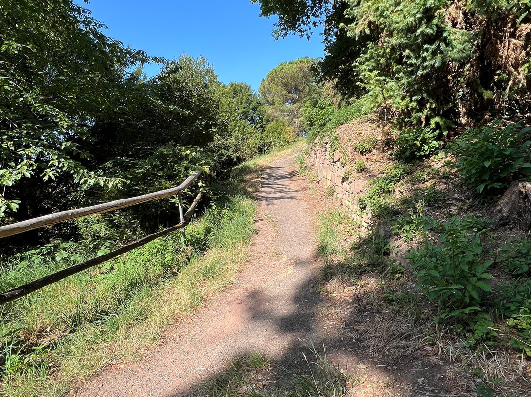 哲学家之路徒步游-海德尔堡必去景点