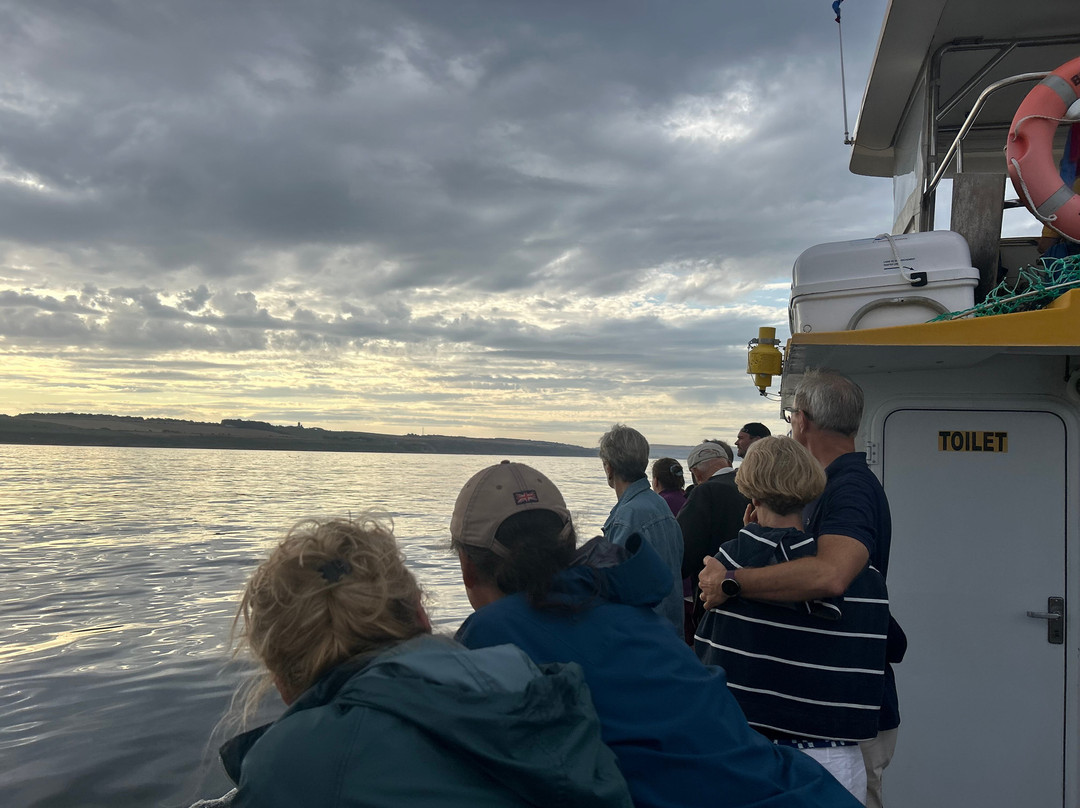 Berwick Boat Trips-特威德河畔贝里克必去景点