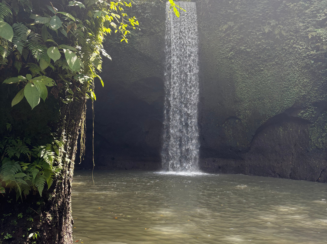 Tibumana Waterfall-Apuan必去景点