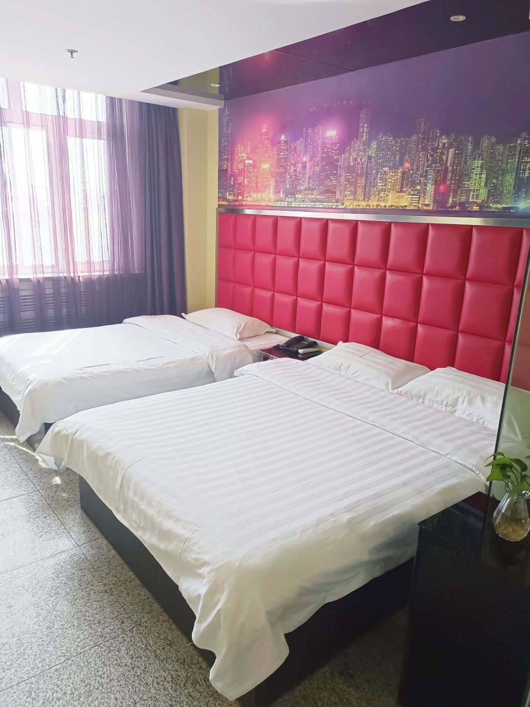 禧龙宾馆(七台河步行街店)-官方