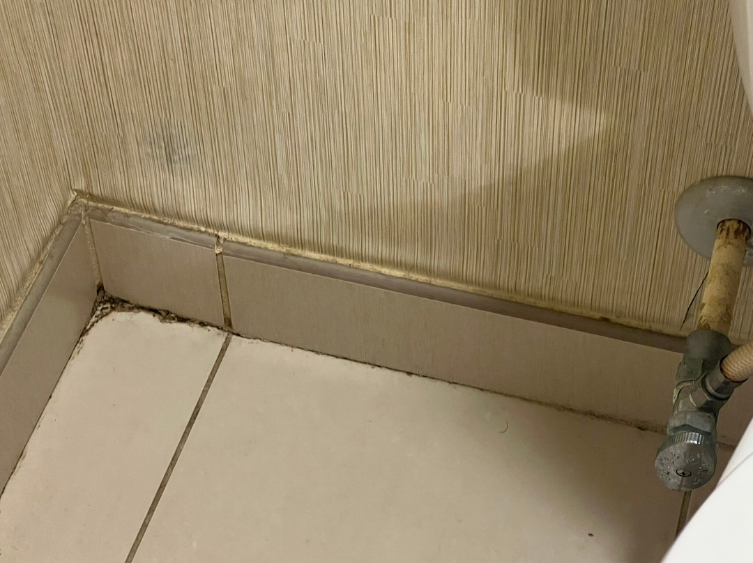 Residence Inn St. Louis O'Fallon主图