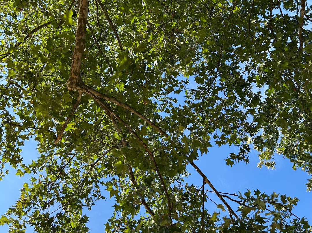 瓦伦蒂诺公园-都灵必去景点