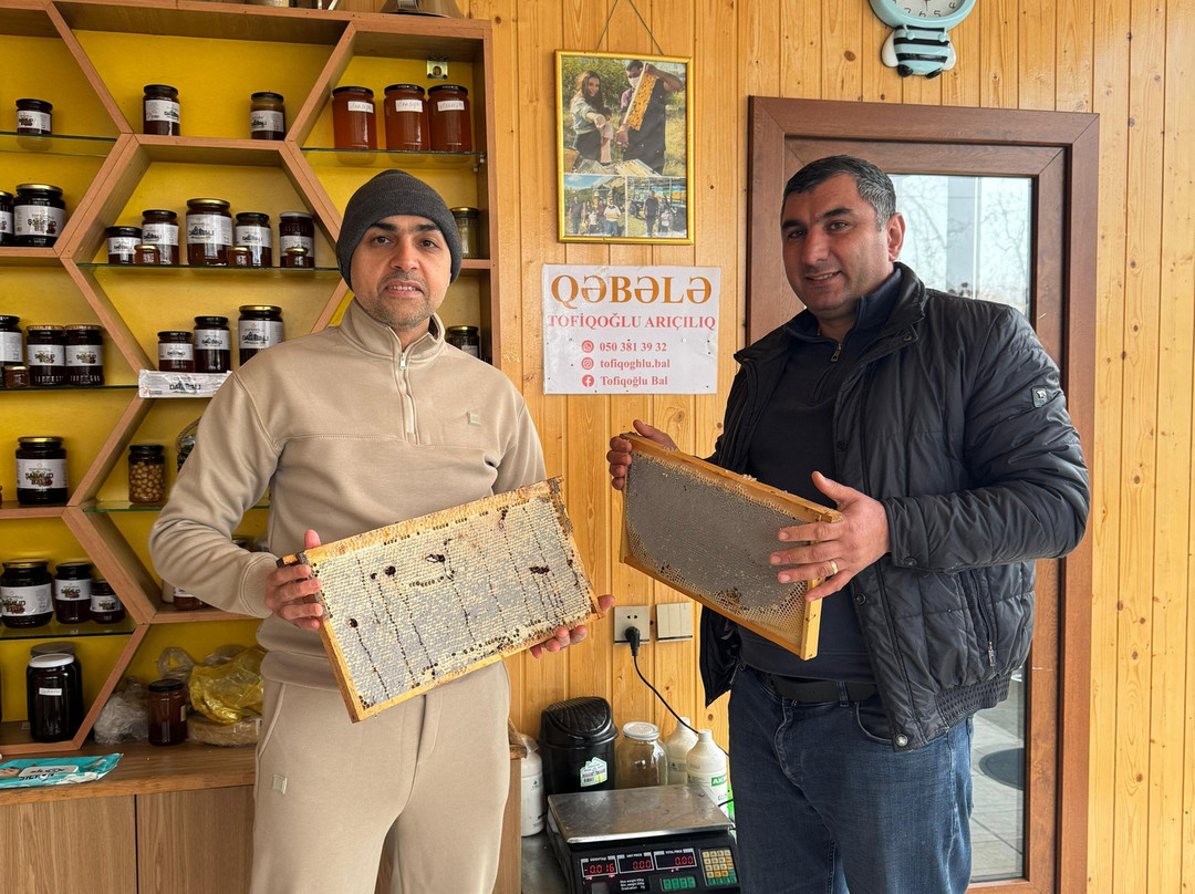 Tofiqoghlu Beekeeping Experience-Zaragan必去景点