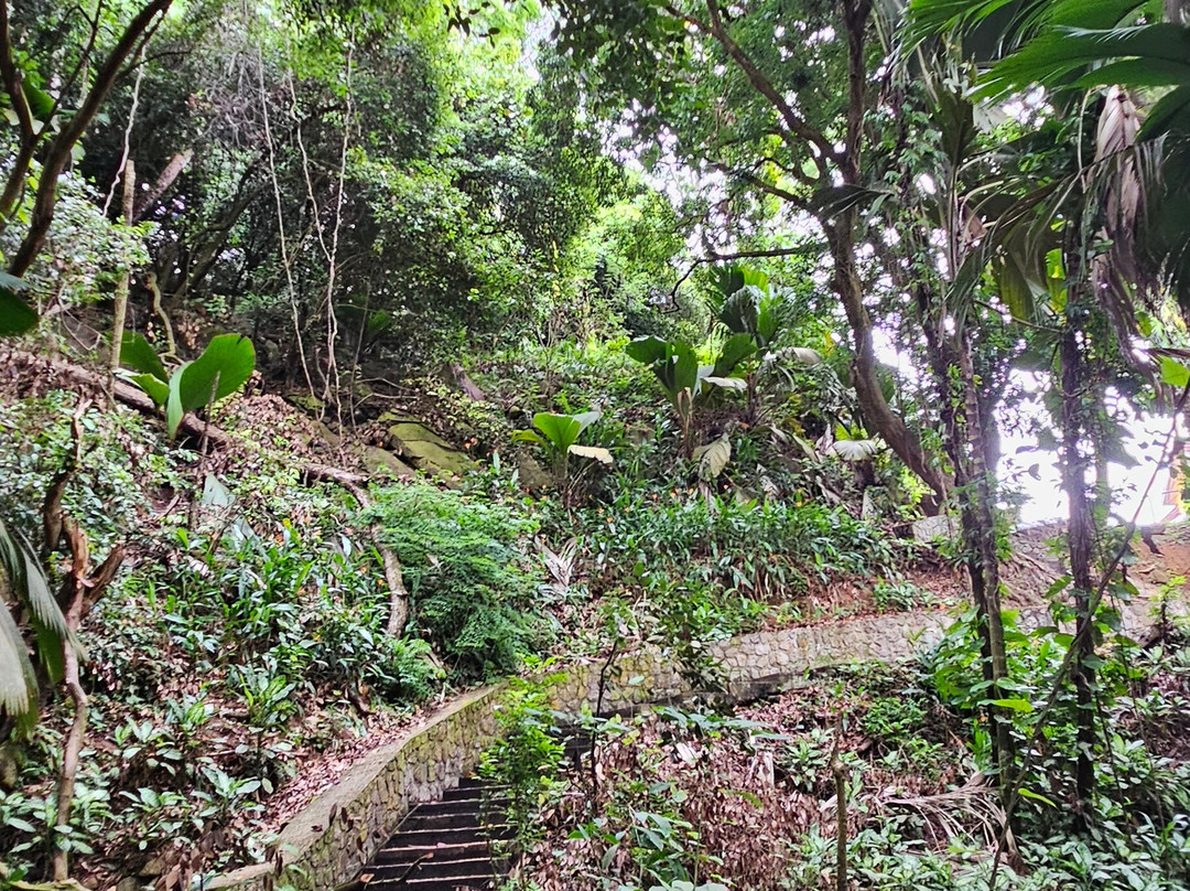 Sauzier Waterfall-Port Glaud必去景点