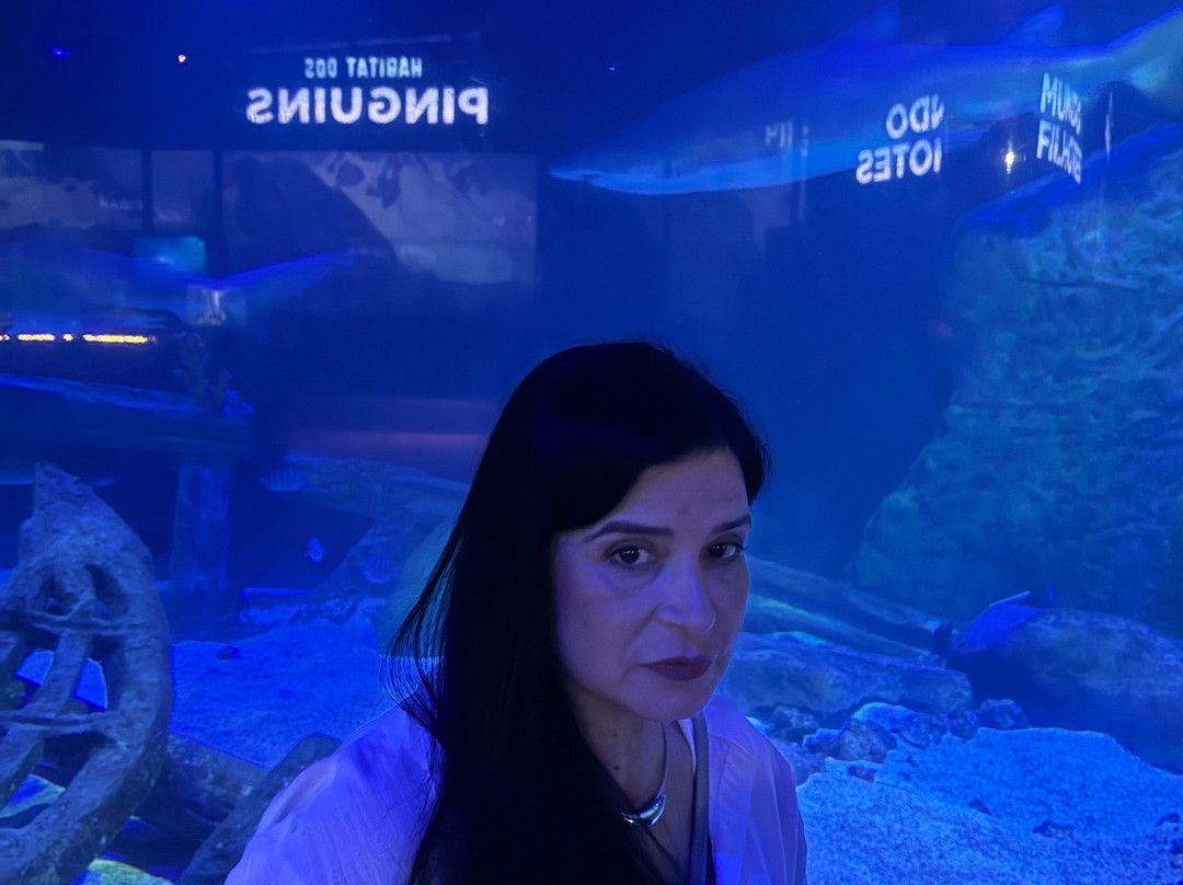 Oceanic Aquarium-康泊琉海水浴场必去景点
