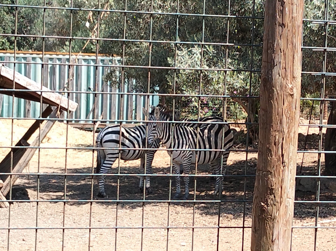 Bioparco Di Sicilia-Carini必去景点