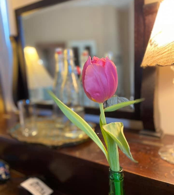 Black Sheep Inn and Spa主图