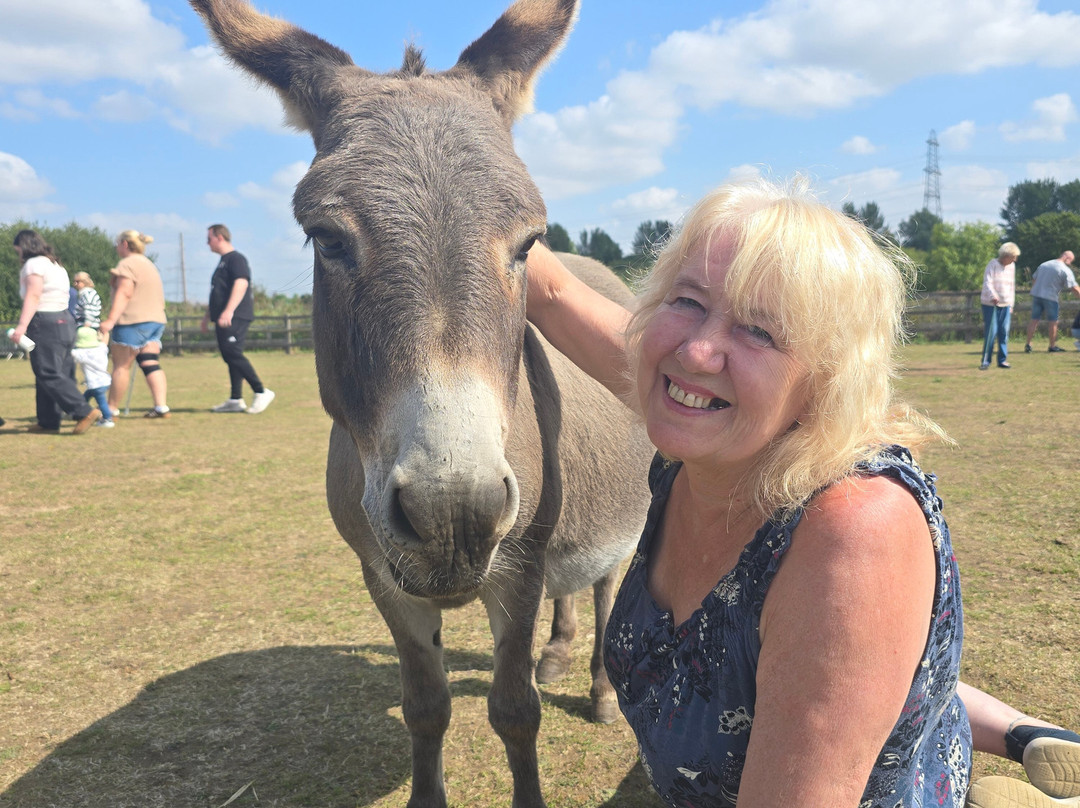 The Wonkey Donkey Visitors Centre-Knottingley必去景点