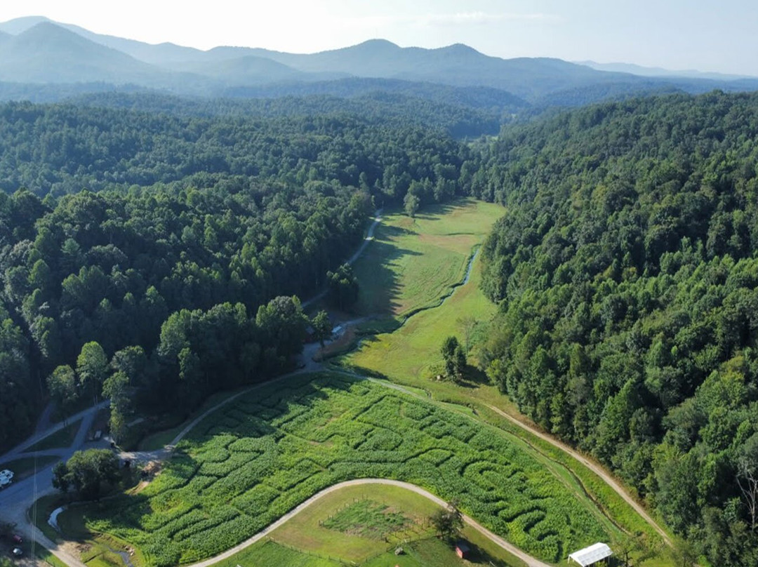 Ellijay Corn Maze-Ellijay必去景点
