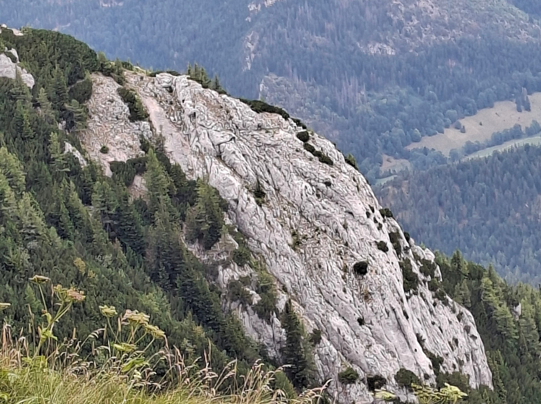 Schneebergbahn-Puchberg am Schneeberg必去景点