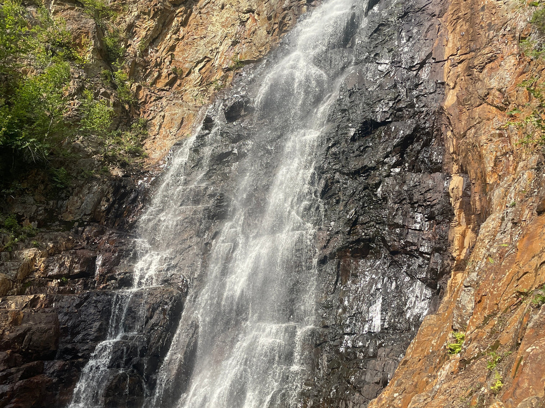 Falls Brook Falls-Bloomfield Ridge必去景点