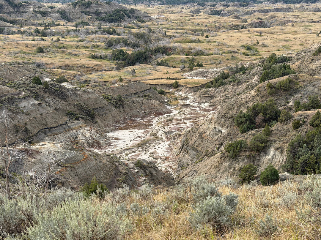 Theodore Roosevelt National Park-Medora必去景点