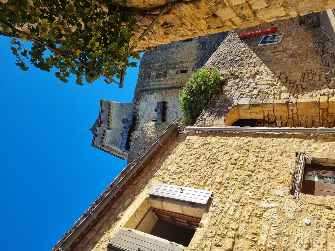 Château de Castelnaud-Castelnaud-la-Chapelle必去景点