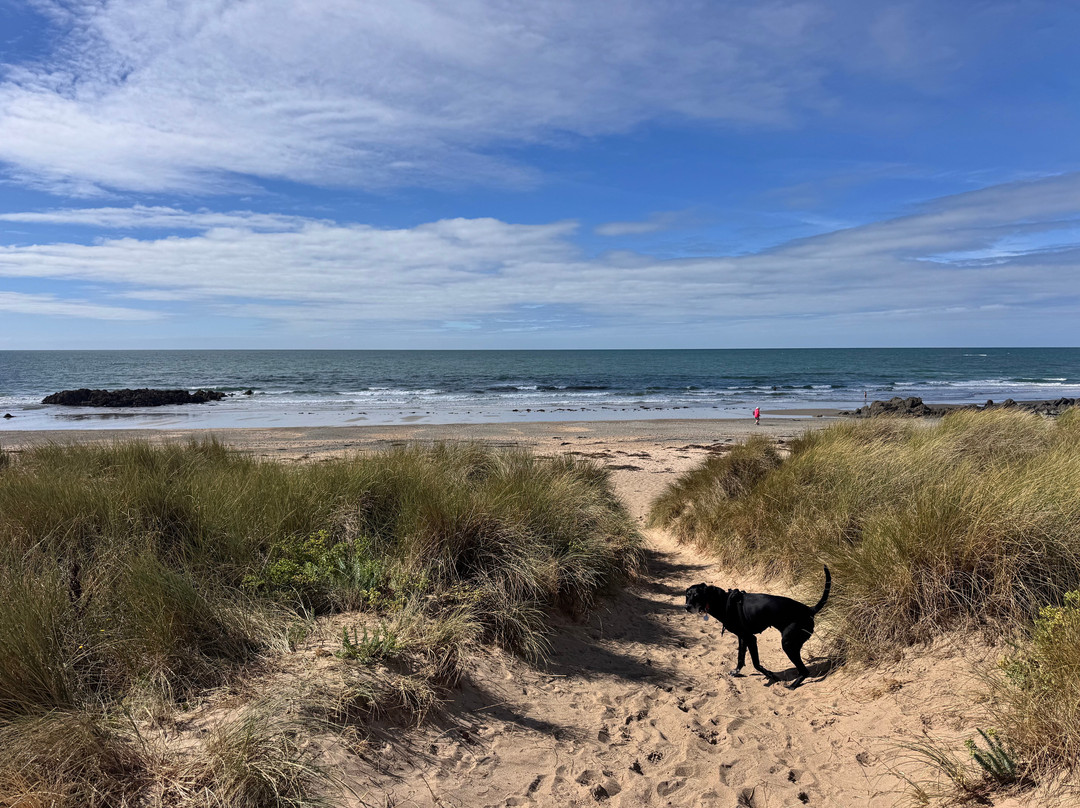 Sawna Bach - The Scenic Sauna (anglesey)-Rhosneigr必去景点