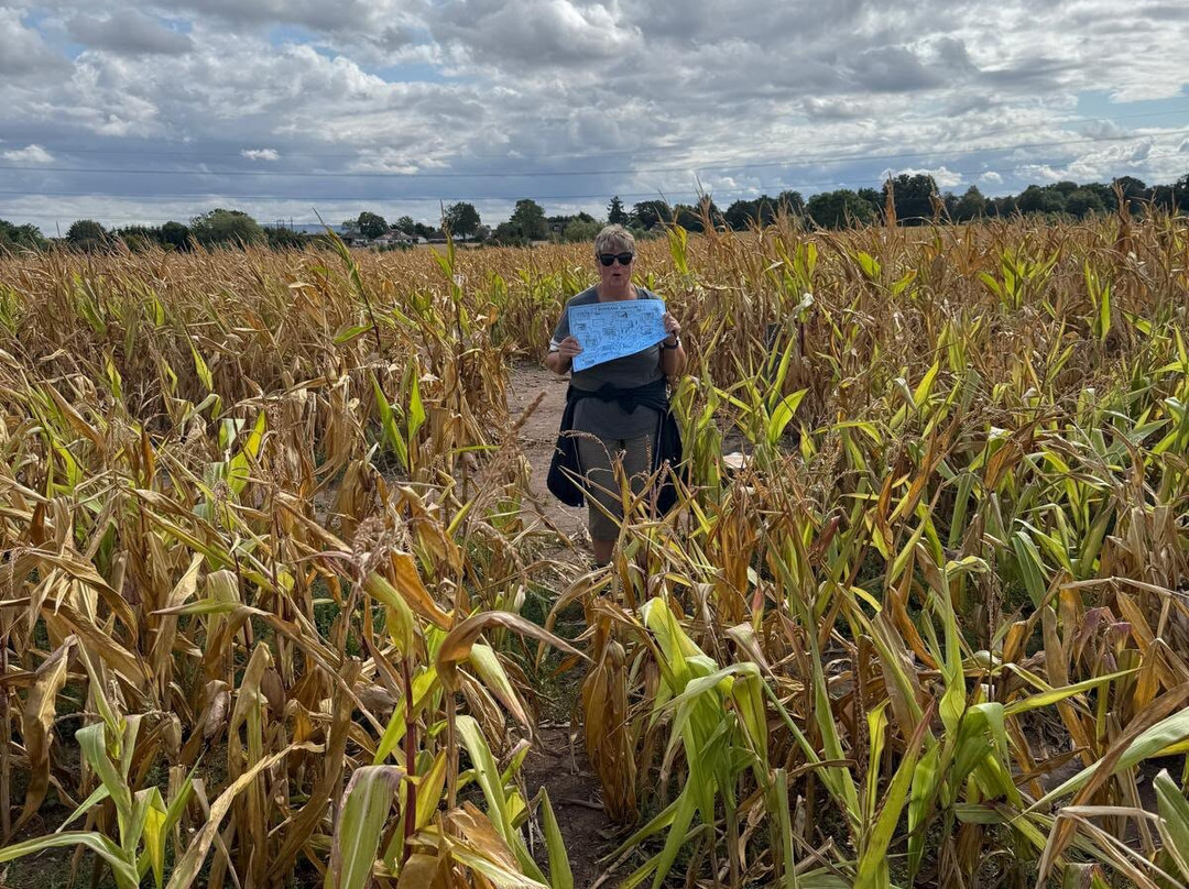 The Great Worcester Maize Maze-伍斯特必去景点