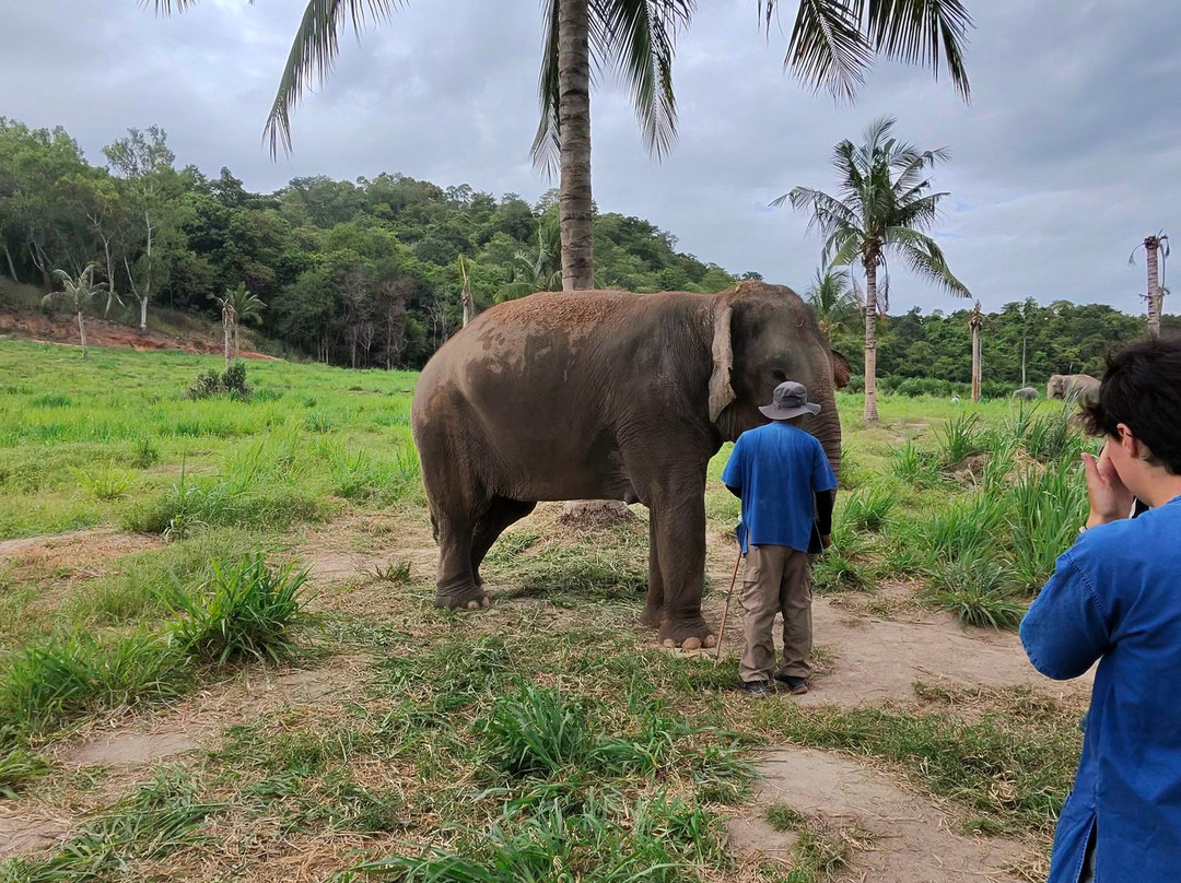 Pattaya Elephant Sanctuary-Bang Sare必去景点