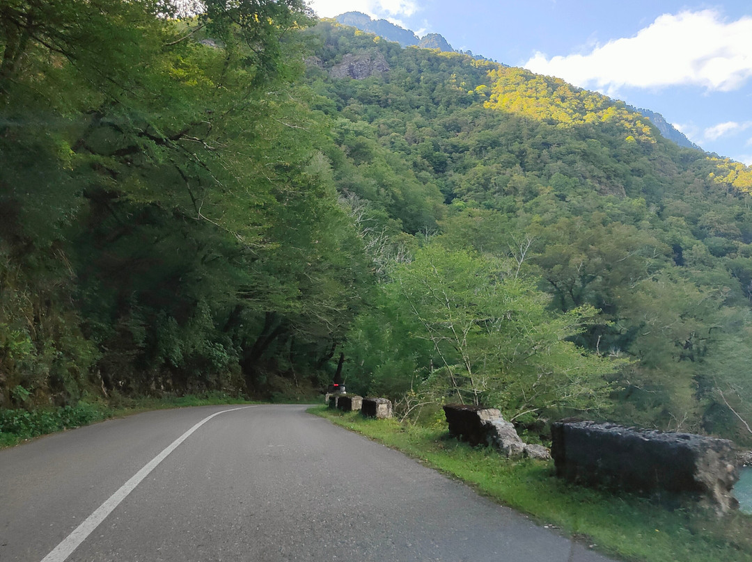 Ritsinskiy Relic National Park-Gudaut'a必去景点