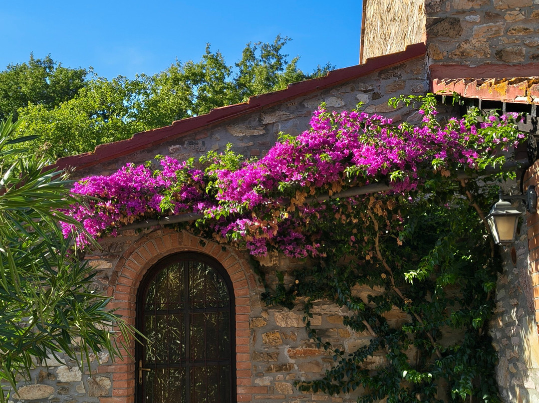 迪拉尔罗露营酒店主图