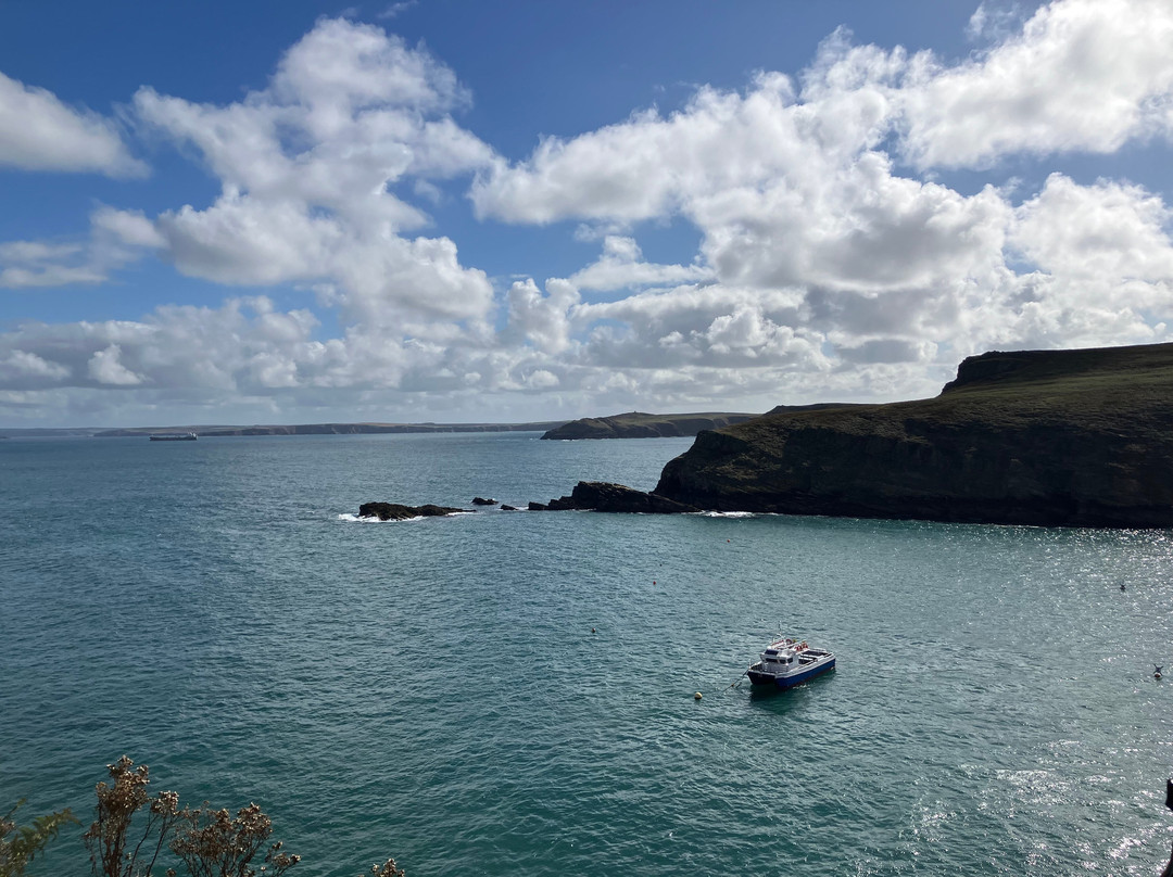 Pembrokeshire Islands Boat Trips-Marloes必去景点