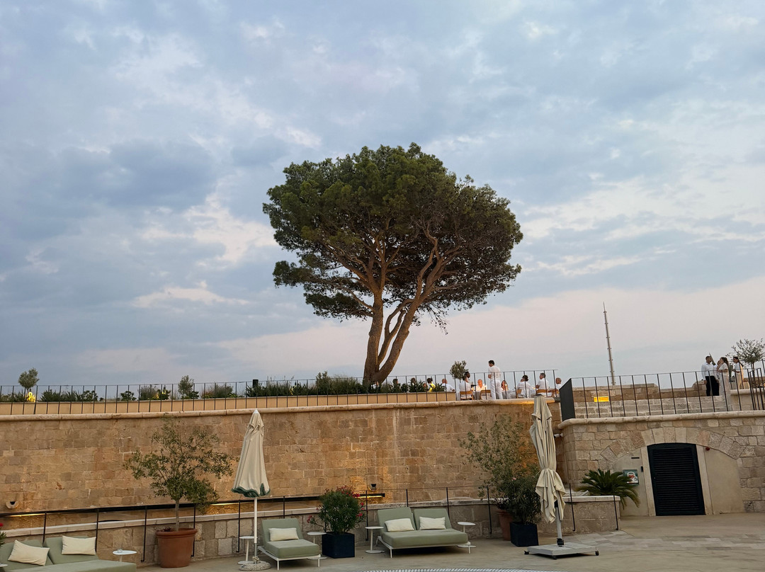 Mamula Fortress-赫尔采格诺维必去景点