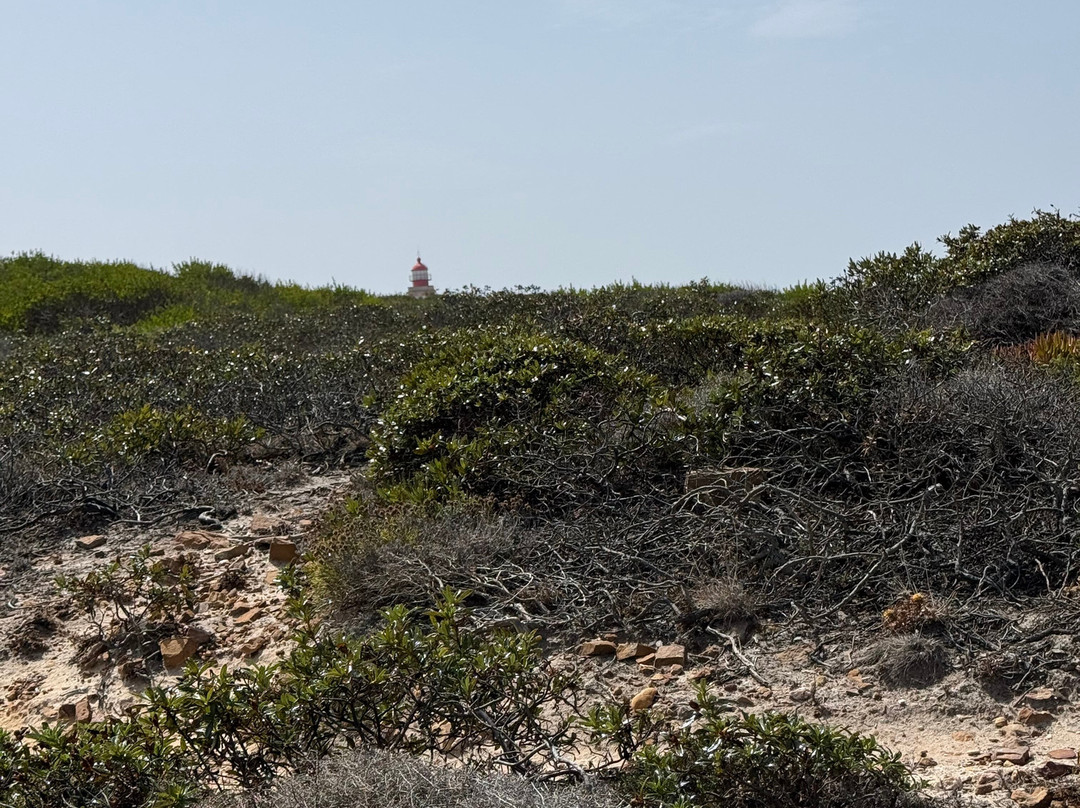 Farol do Cabo Sardao-Sao Teotonio必去景点
