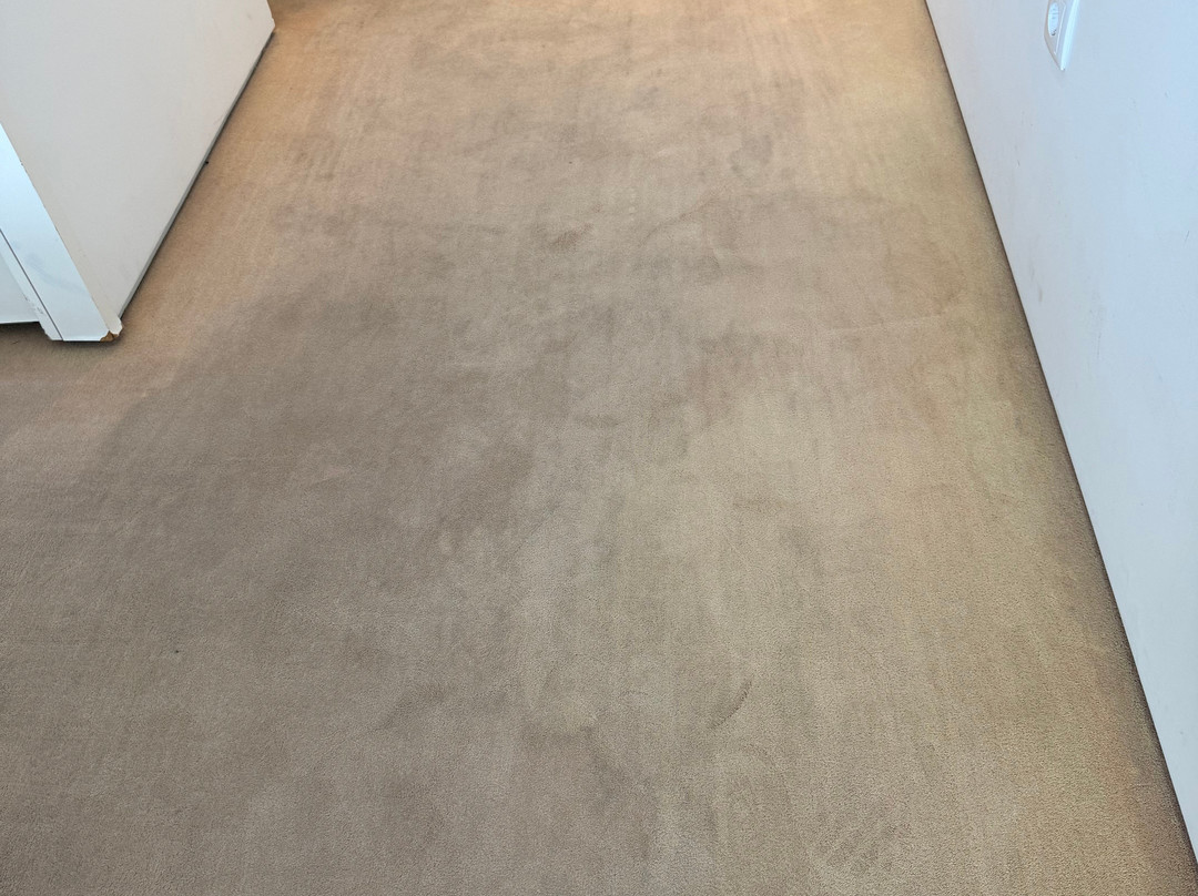 藤普斯酒店及 SPA 中心主图