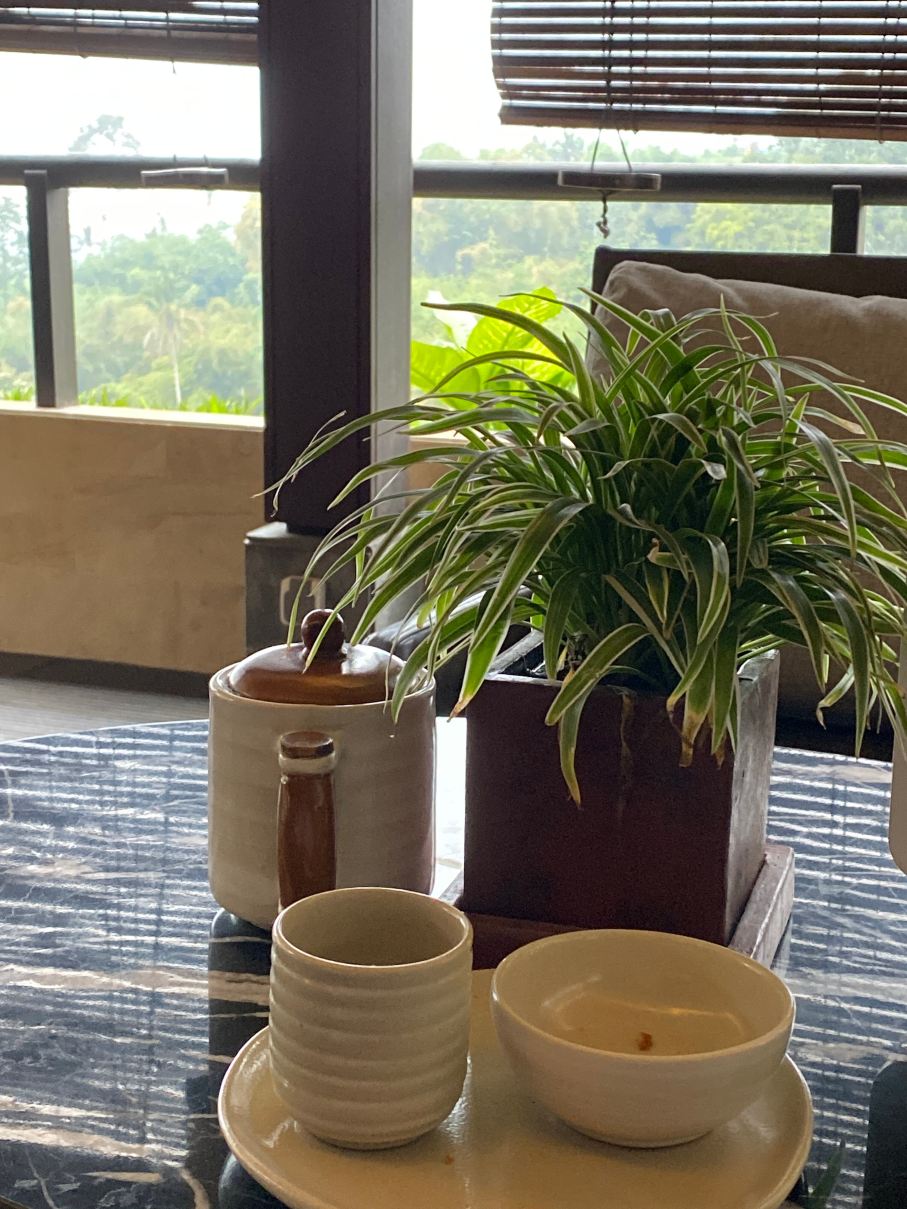 巴厘岛萨拉纳姆巴土利地鸿居酒店-旅行者