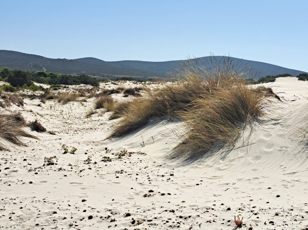 Spiaggia Porto Pino-Sant'Anna Arresi必去景点