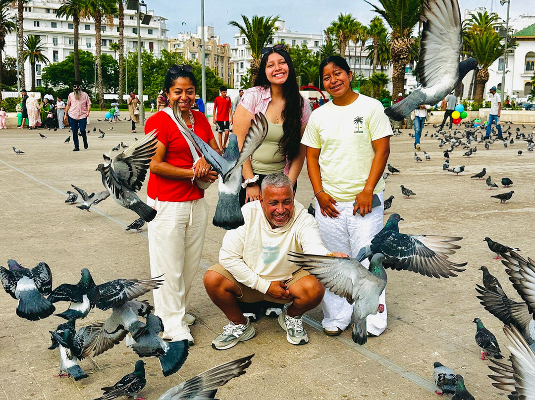 Morocco DailyXplore Tours-卡萨布兰卡必去景点