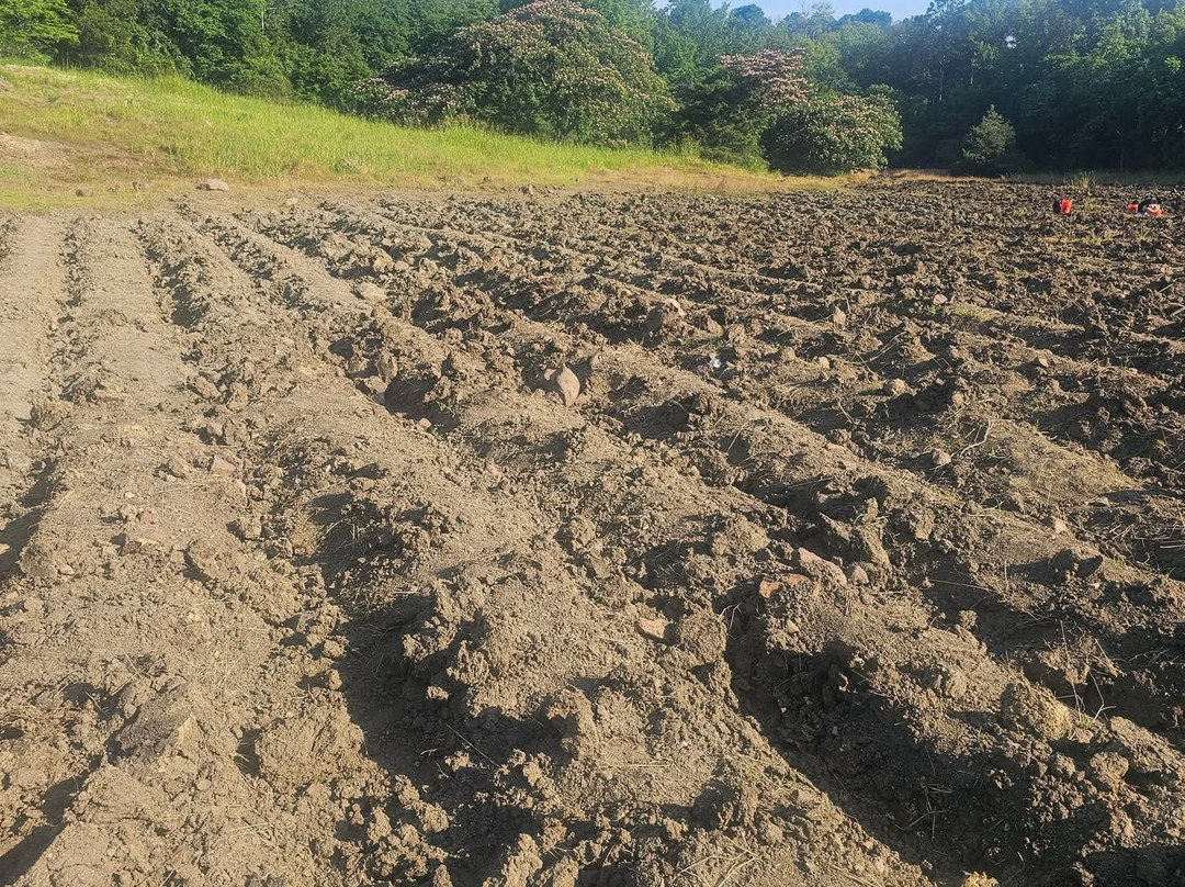 Crater of Diamonds State Park-Murfreesboro必去景点