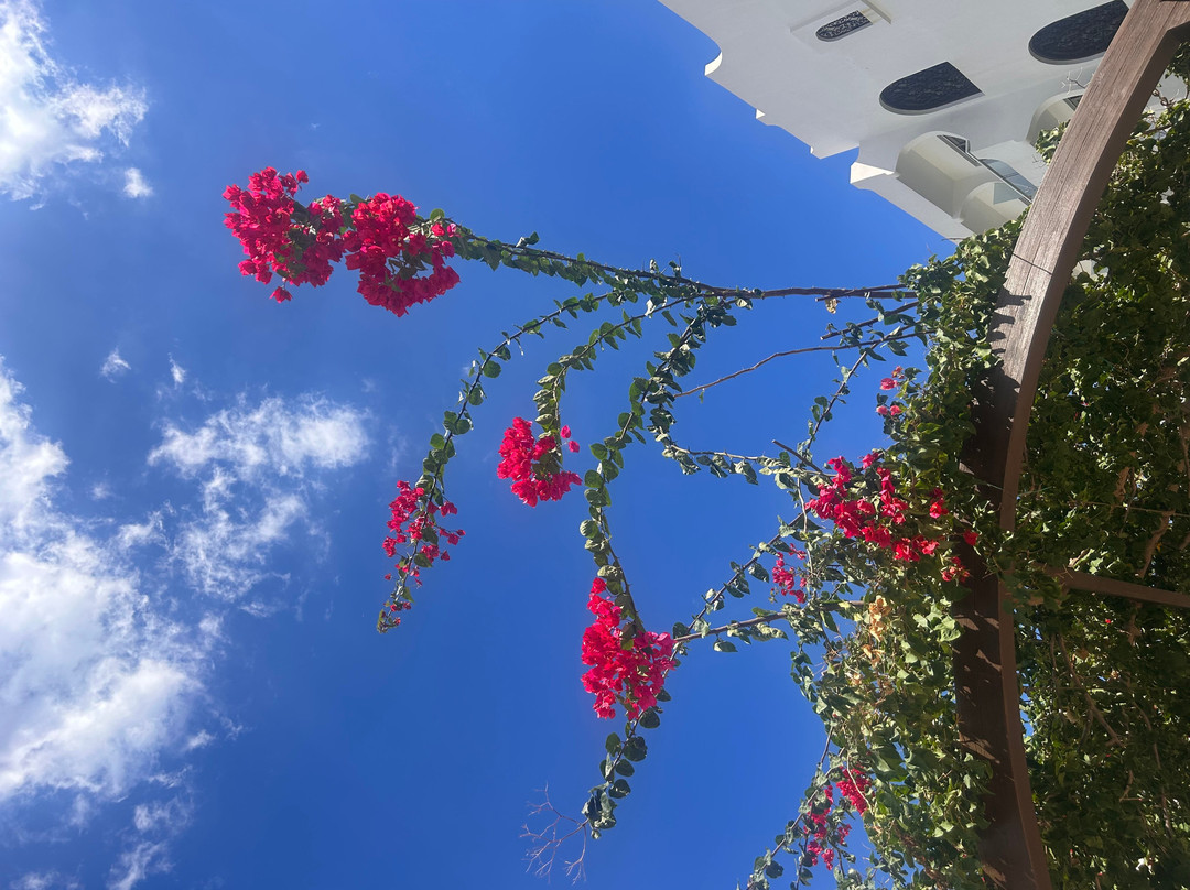 Atlantica Akti Zeus Hotel主图